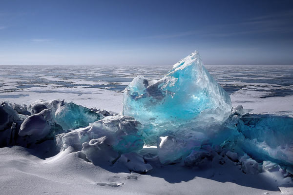 WIR KÜMMERN UNS UM DIE UMWELT